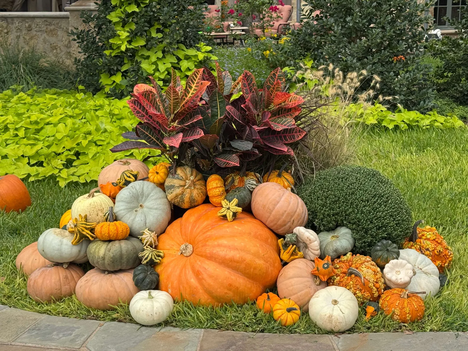 Autumn display of pumpkins, crotons, and greenery at La Casa Verde
